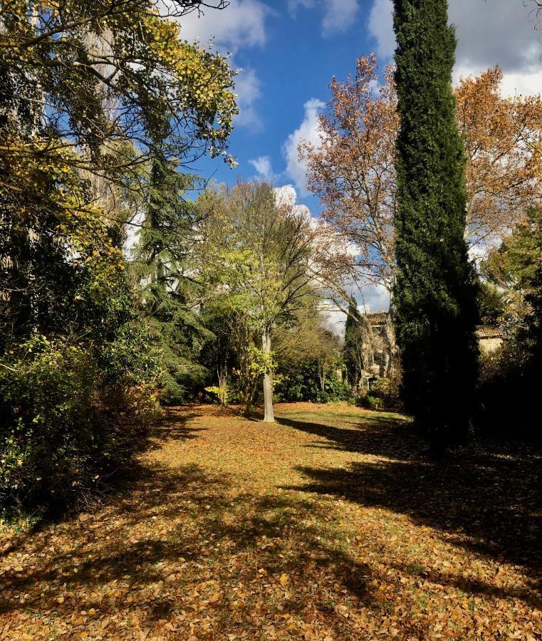 Campagne Baudeloup Bed & Breakfast LʼIsle-sur-la-Sorgue